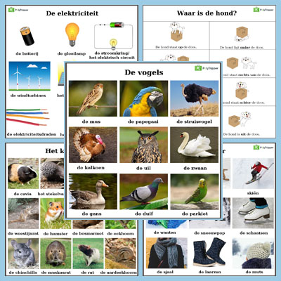 Dutch Vocabulary - Set 11
