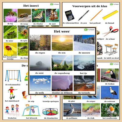 Dutch Vocabulary - Set 12