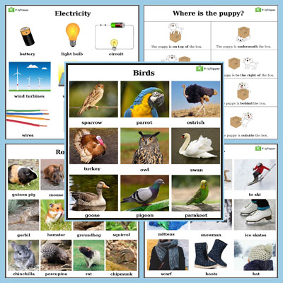 English Vocabulary - Set 11
