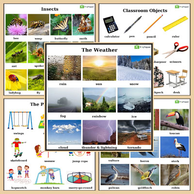 English Vocabulary - Set 12
