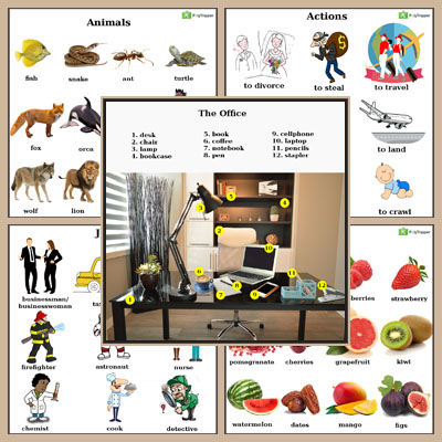 English Vocabulary - Set 5