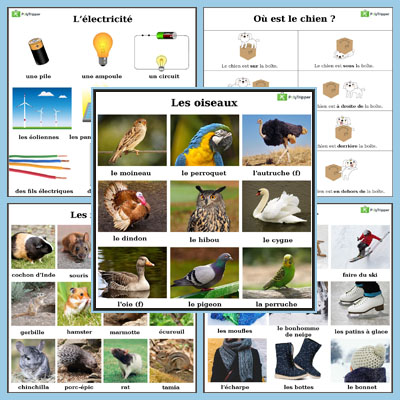 French Vocabulary - Set 11