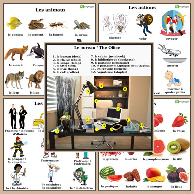 French Vocabulary - Set 5