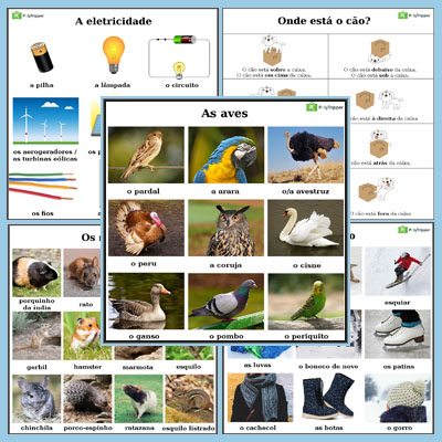 Portuguese Vocabulary BR - Set 11