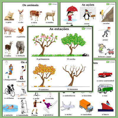 Portuguese Vocabulary BR - Set 6