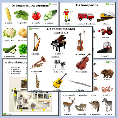 Portuguese Vocabulary BR - Set 7