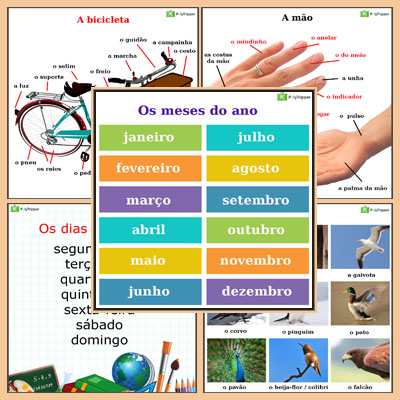 Portuguese Vocabulary BR - Set 9