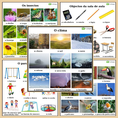 Portuguese Vocabulary PT - Set 12