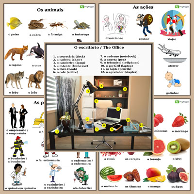 Portuguese Vocabulary PT - Set 5