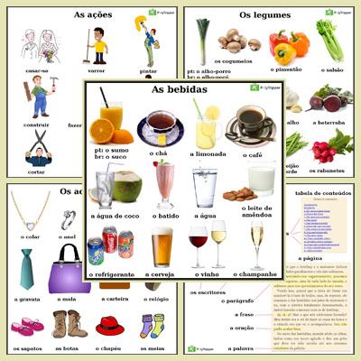 Portuguese Vocabulary PT - Set 8