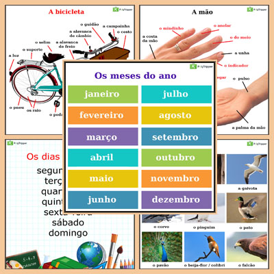 Portuguese Vocabulary PT - Set 9