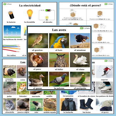 Spanish Vocabulary - Set 11