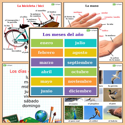 Spanish Vocabulary - Set 9